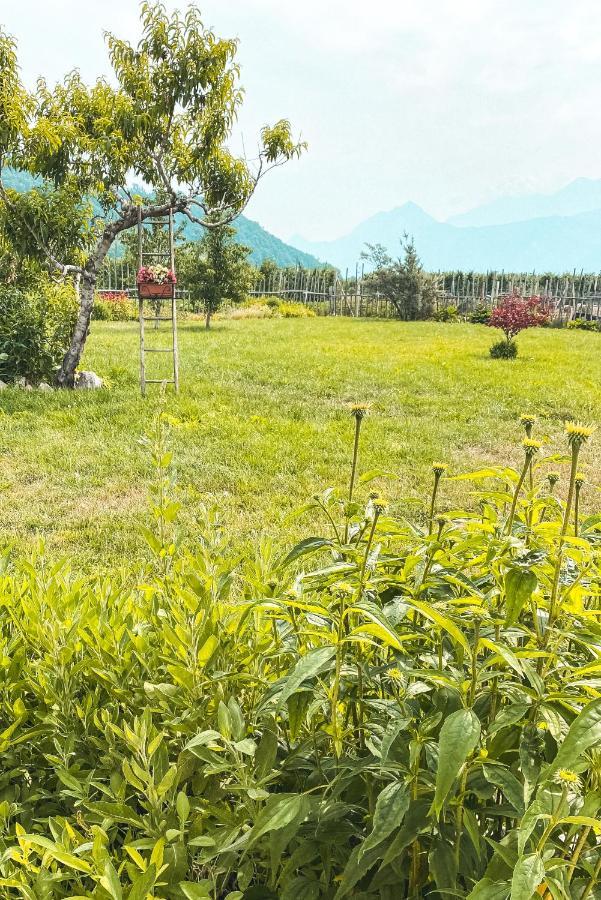 Agriturismo Dal Perotin Caldonazzo Exterior photo
